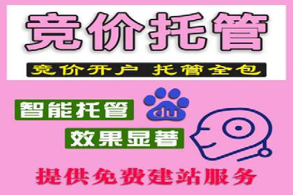 搜索引擎营销（SEM）在移动端的投放案例